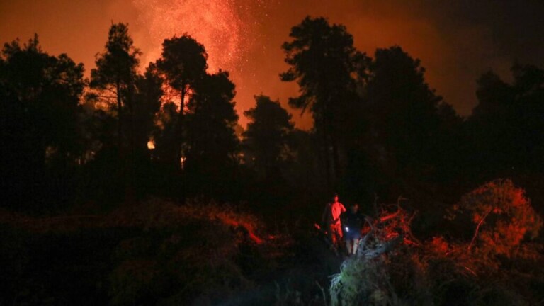 αρκαδία-φωτιά-το-πύρινο-μέτωπο-πέρασε-931269