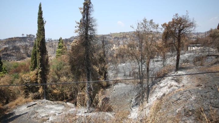 περισσότερα-από-ένα-εκατ-στρέμματα-κά-932090