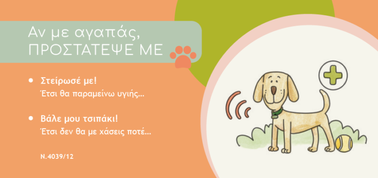 δήμος-φυλής-όλα-όσα-πρέπει-να-γνωρίζετ-994218