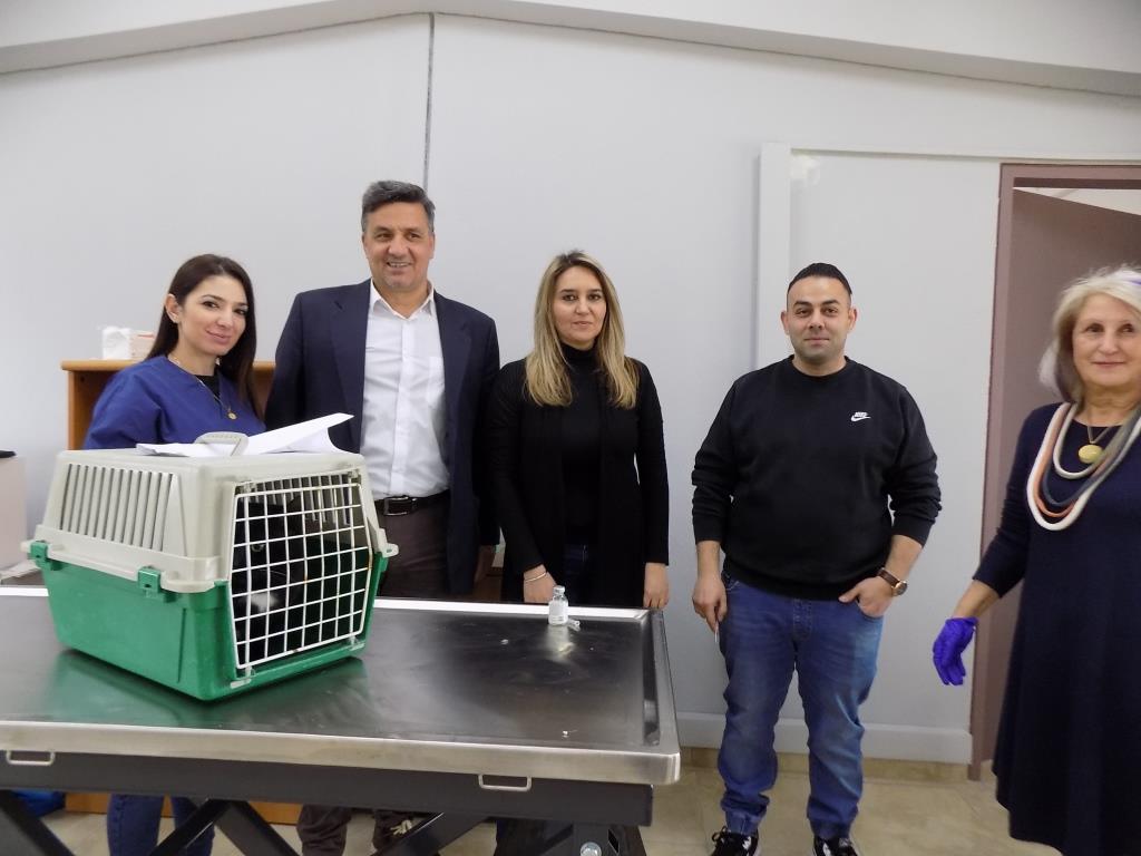 δεκάδες-στειρώσεις-αδέσποτων-από-το-δ-1007142