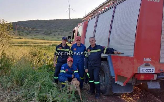 λιβαδειά-σκύλος-έπεσε-σε-πηγάδι-14-μέτρ-1020931
