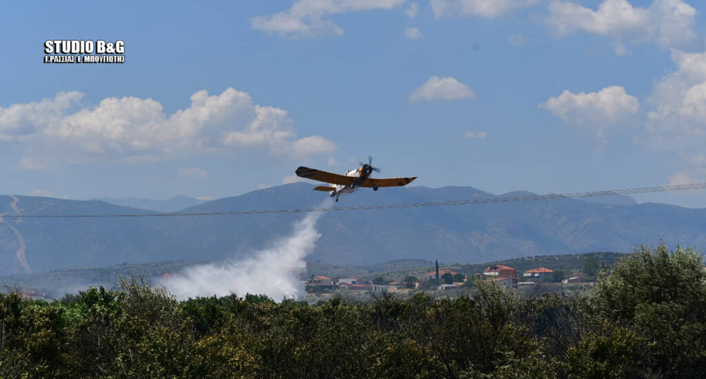 φωτιά-στο-φίχτι-αργολίδας-1028591