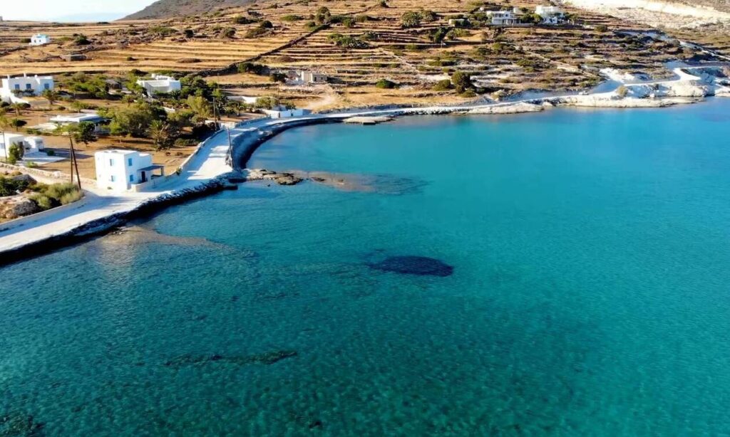 αποτροπιασμός-και-απέραντη-θλίψη-για-1028557