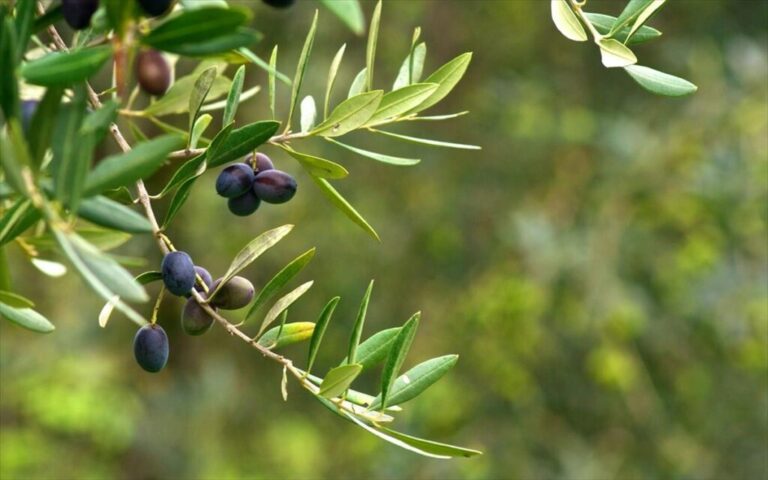 προσλήψεις-27-συμβασιούχων-στην-περιφέ-1051571