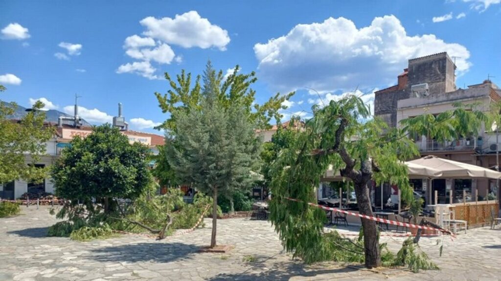 καλαμάτα-ανεμοστρόβιλος-ξερίζωσε-δέ-1058664