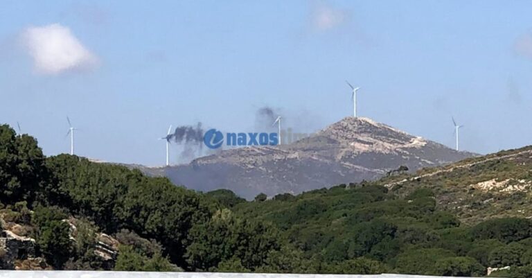 επεκτάθηκε-η-φωτιά-στη-νάξο-επιχείρ-1056638