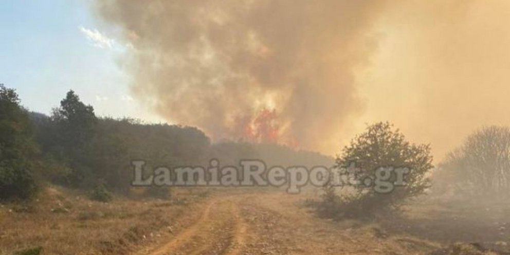 πυρκαγιά-στo-δομοκό-φθιώτιδας-ενισχύ-1057724