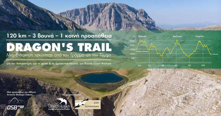 dragons-trail-120-χλμ-3-βουνά-1-κοινός-αγώνας-για-1065573
