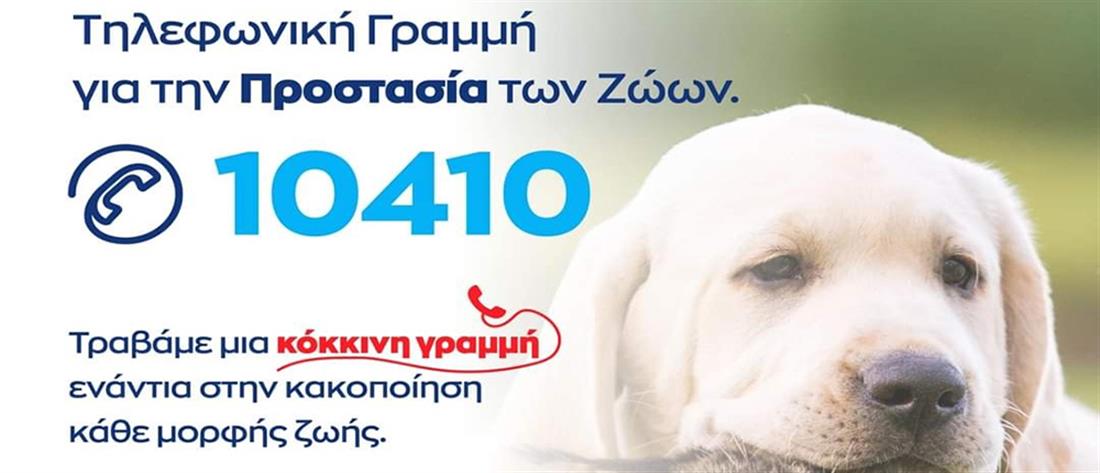ελ-ασ-10410-σε-λειτουργία-η-τηλεφωνική-γραμ-1078289