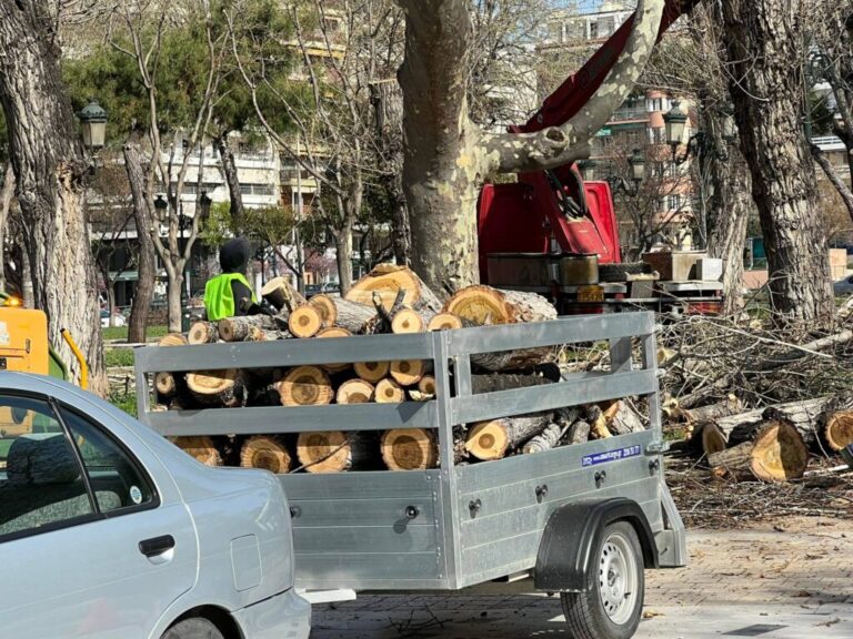νέα-διαμαρτυρία-για-τις-κοπές-δέντρων-1149850