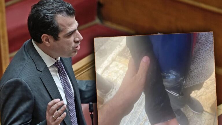 πλεύρης-καταγγέλλει-επίθεση-σε-βάρος-1172017