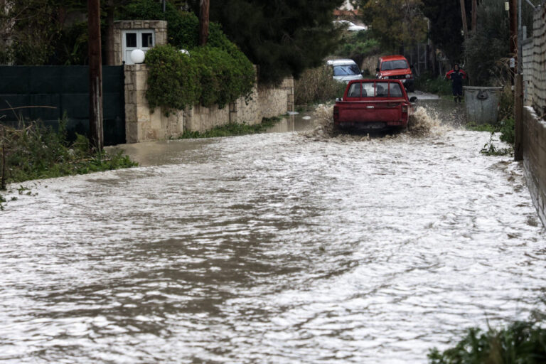 θεσσαλία-2-νέα-κρούσματα-λεπτοσπείρωσ-1179119