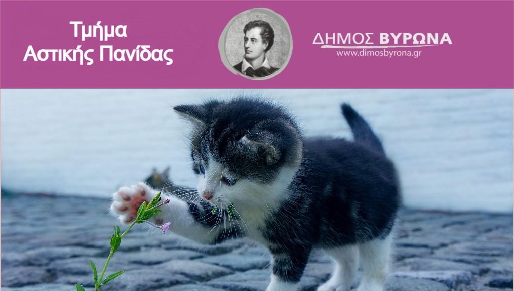 δ-βύρωνα-θα-παρασταθεί-ως-πολιτική-αγω-1184716