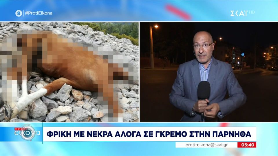 κτηνωδία-στην-πάρνηθα-βρέθηκαν-νεκρά-1179345