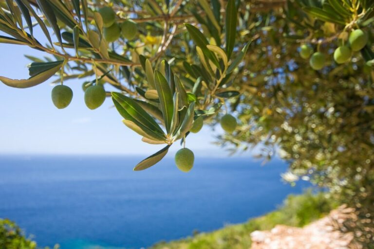 προσλήψεις-40-ατόμων-στην-περιφέρεια-νο-1180520