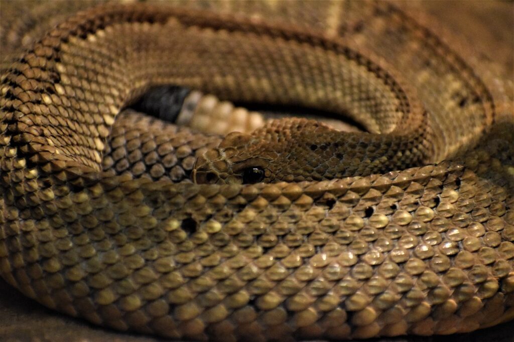 λάρισα-πυροσβέστης-πιάνει-με-τα-χέρια-1185998