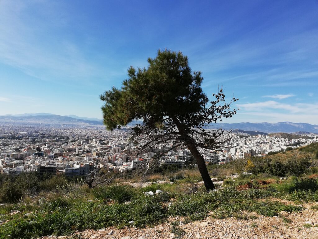 προσλήψεις-στο-σύνδεσμο-προστασίας-κ-1185306