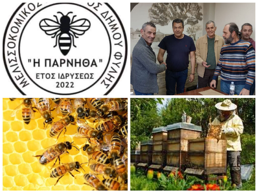 δωρεάν-σεμινάριο-μελισσοκομίας-για-κ-1185237