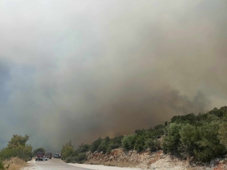ανεξέλεγκτη-η-φωτιά-στα-δερβενοχώρια-1210528