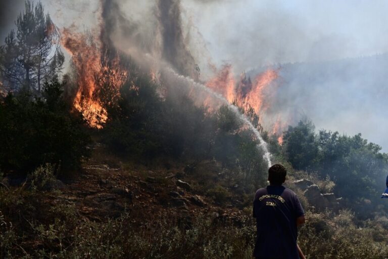 θήβα-34χρονος-παραλίγο-να-κάψει-ολόκληρ-1210581