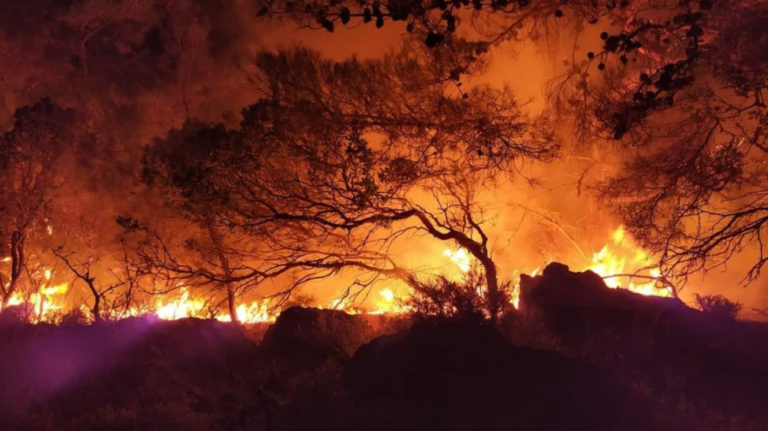 λαμία-πέθανε-ο-67χρονος-μελισσοκόμος-πο-1213042