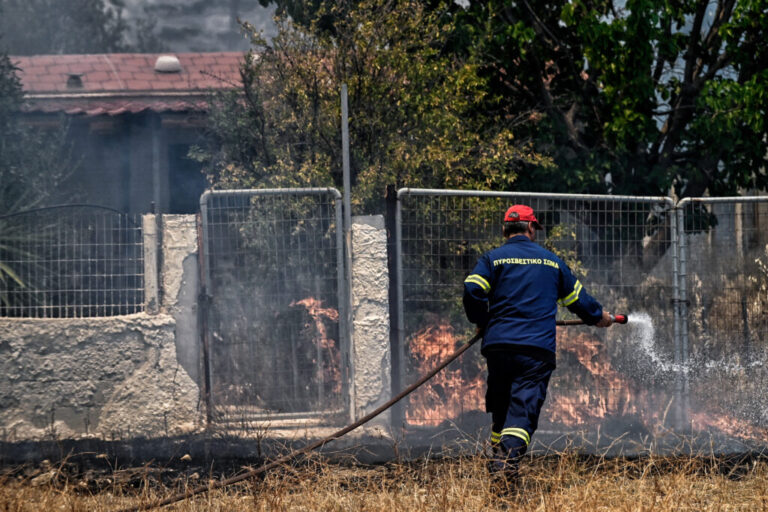 συπα-πυρκαγιές-συγκέντρωση-διαμαρτυ-1210738