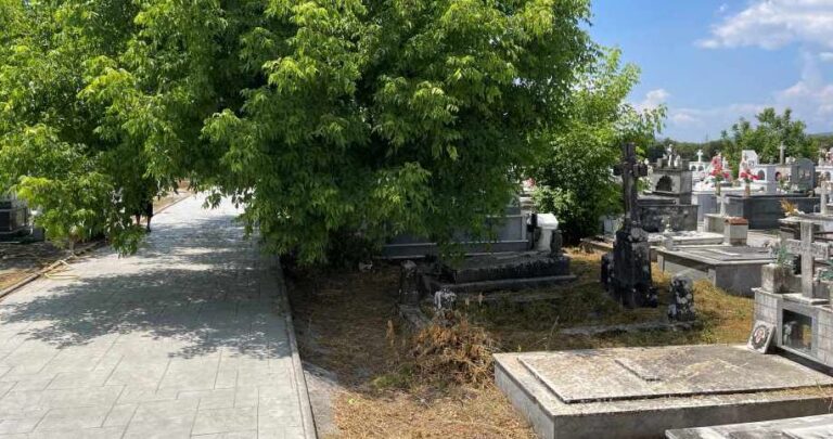 δήμος-φυλής-ξεκινούν-καθημερινά-δρομ-1208410