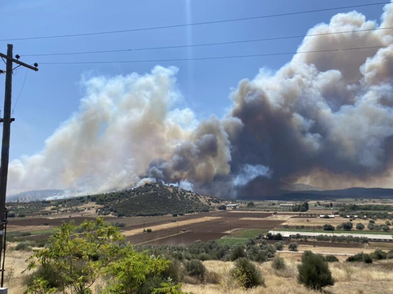 φωτιά-στην-εύβοια-μήνυμα-του-112-στα-νότι-1221879