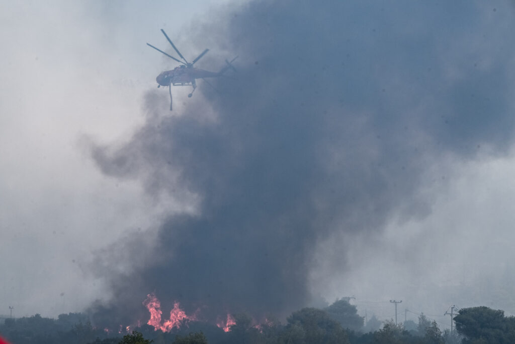 δασαρχείο-πάρνηθας-7-δασοφύλακες-για-350-000-1223392