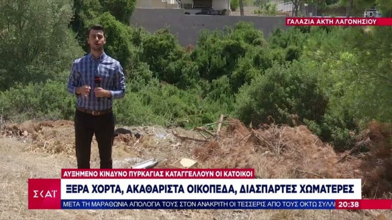 γαλάζια-ακτή-λαγονησίου-ξερά-χόρτα-ακ-1220221