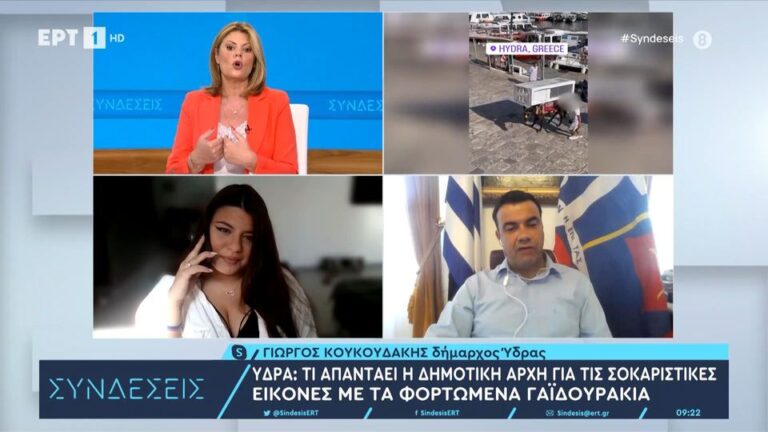 δήμαρχος-ύδρας-για-το-γαϊδουράκι-που-φ-1217948