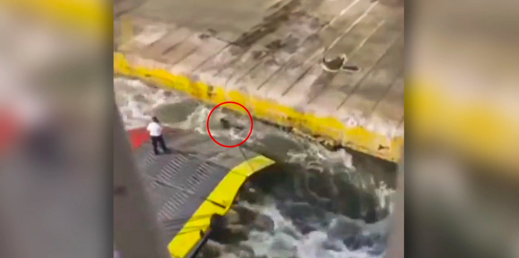 αυτό-ήταν-δολοφονία-ξεσπά-ο-αδερφό-1229150