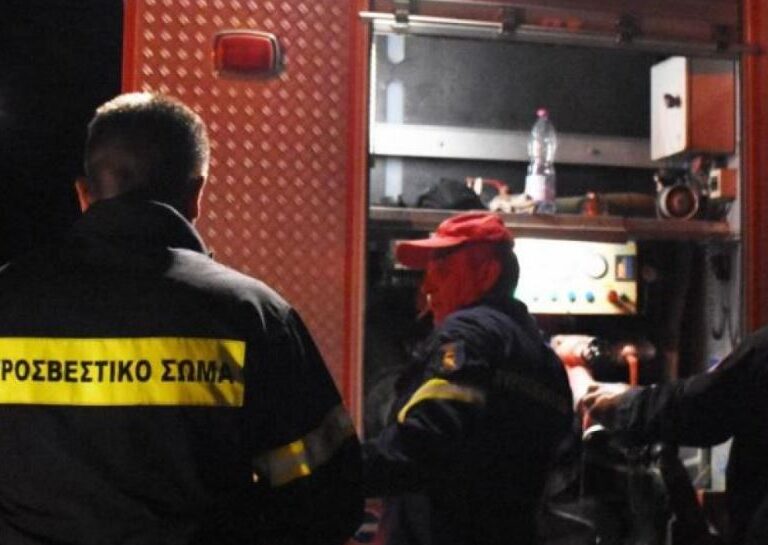 κέρκυρα-γουρούνα-με-τουρίστες-έπεσε-σ-1243624