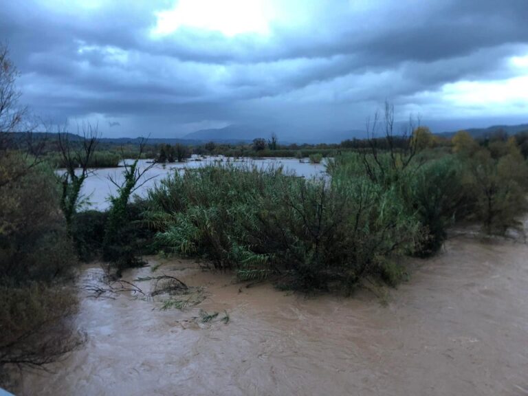 δήμος-ζητά-προληπτική-απομάκρυνση-κα-1258715