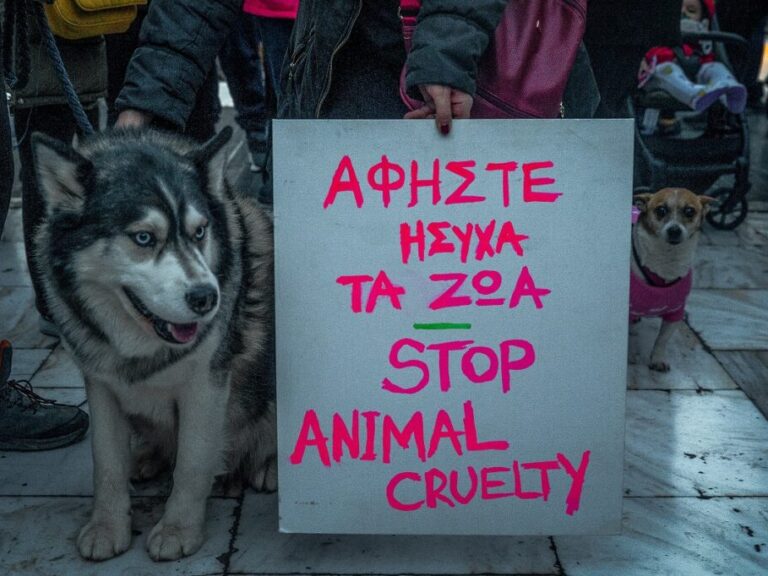 να-συλληφθούν-οι-δράστες-συγκέντρω-1278820