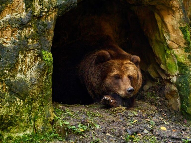 h-εισαγγελία-του-αρείου-πάγου-εποπτεύε-1275425