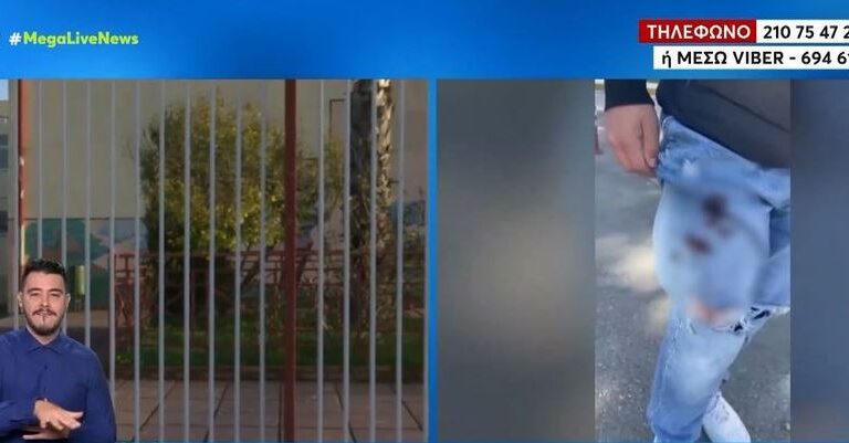 σοκ-στη-μεσσήνη-14χρονος-μαχαίρωσε-συμμ-1274265