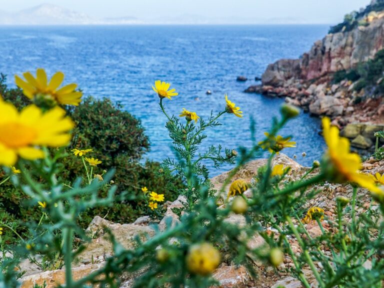 καιρός-έκτακτη-πρόβλεψη-για-κλειστά-σ-1331994