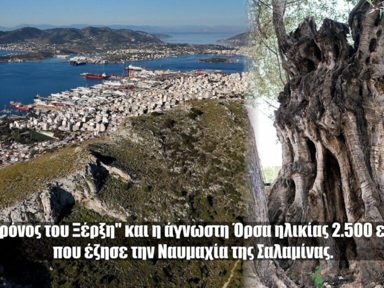ο-θρόνος-του-ξέρξη-και-η-άγνωστη-όρσ-1335994