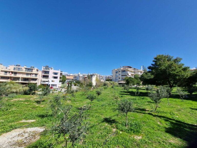 δενδροφυτεύσεις-σε-δύο-λόφους-του-αλί-1335162