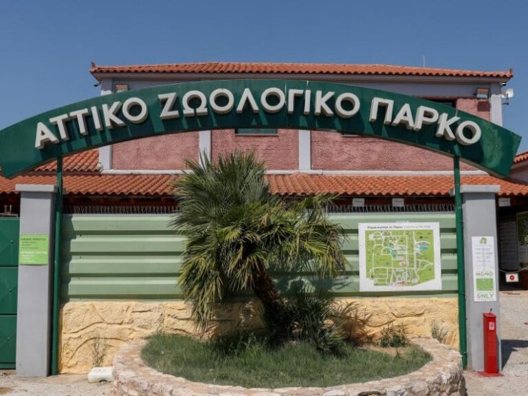 αττικό-ζωολογικό-πάρκο-έξι-μήνες-φυλά-1347948