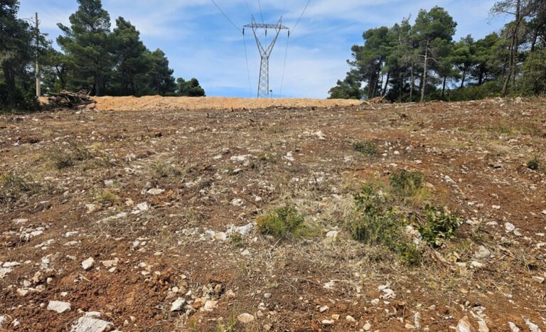 παρατάθηκε-η-προθεσμία-για-καθαρισμο-1349356