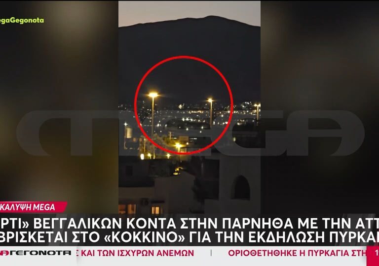 έριχναν-πυροτεχνήματα-δίπλα-στο-δάσο-1357665