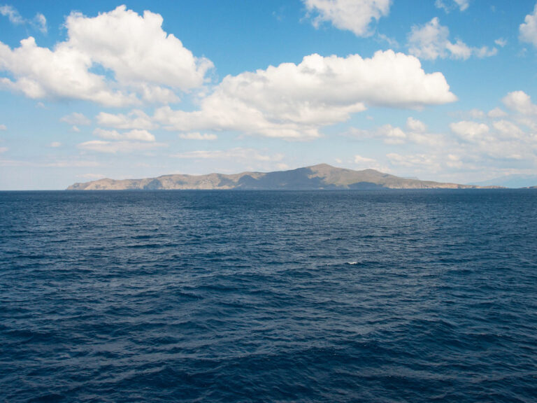 σαδασ-καταδικάζει-κάθε-σχέδιο-επιχει-1363413