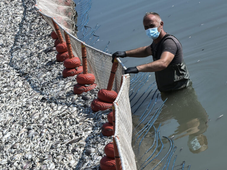 παγασητικός-στο-100-ο-καθαρισμός-από-τα-ν-1377398