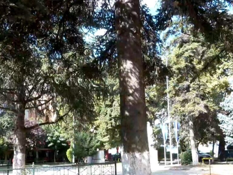 σφοδρές-αντιδράσεις-κατά-δήμου-για-τη-1382610