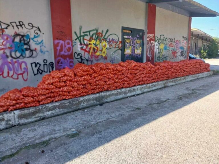 διανομή-πατάτας-από-δήμο-χωρίς-παρατρ-1384298