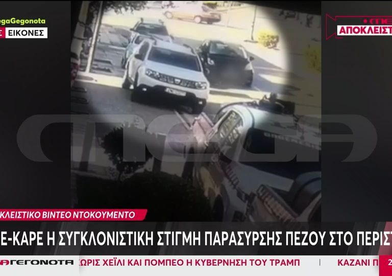 περιστέρι-καρέ-καρέ-η-στιγμή-που-ιχ-ε-1401516