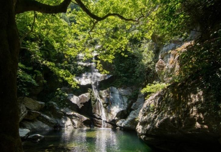 thessaly-evros-pass-αυξάνονται-τα-ποσά-των-άυλων-ψηφια-1398031
