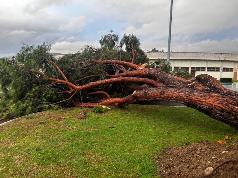 αγρίνιο-μεγάλες-ζημιές-προκάλεσε-ανε-1416222